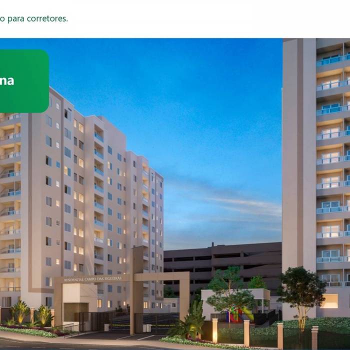 Campo das Figueiras