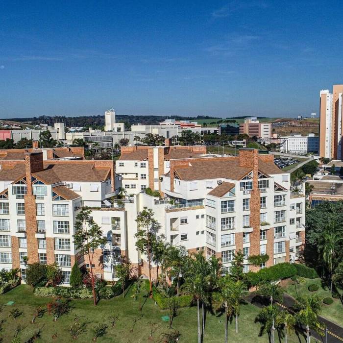 Bougainville Campinas